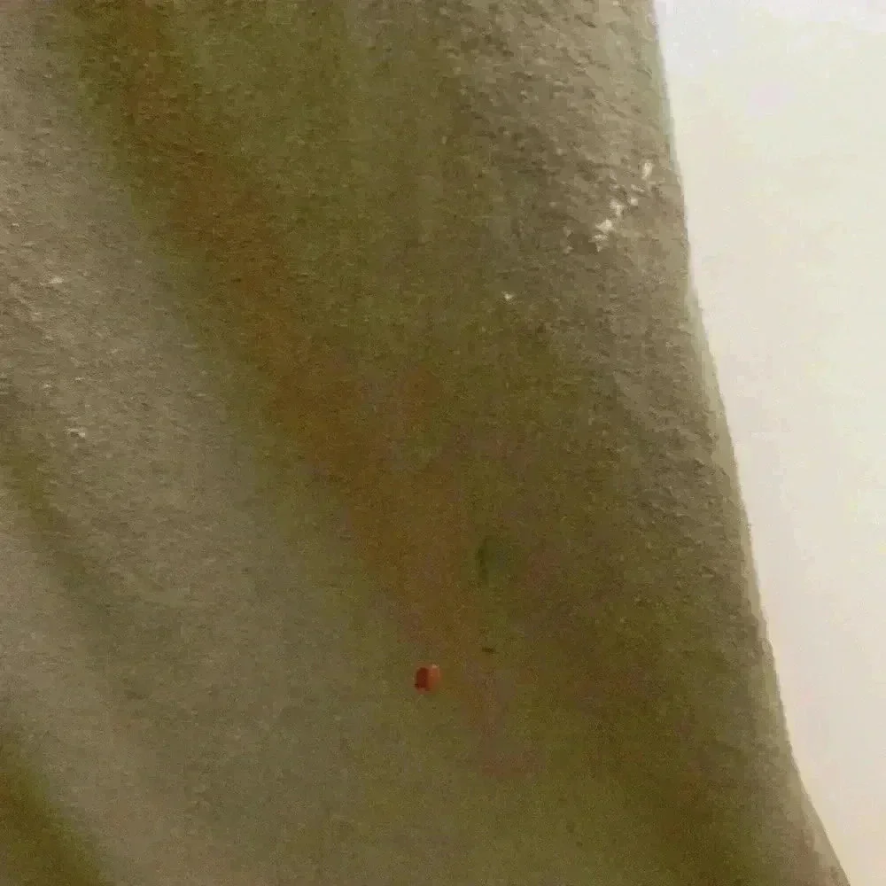 Oversized women’s overalls. Hippy look - Picture 6 of 6